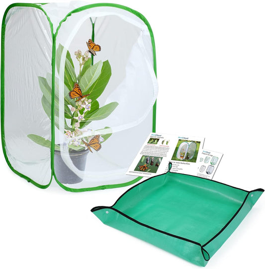 Butterfly Habitat with Poo Poo Platter, Butterfly Cage with Poo Poo Tray